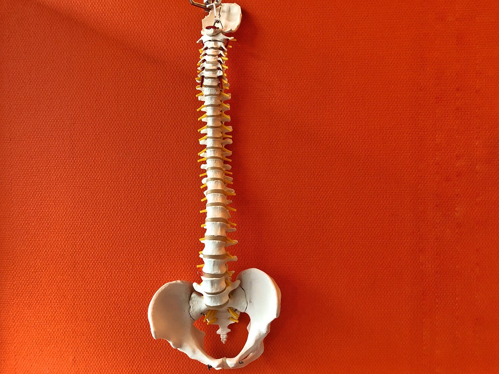 Therapeutic massage to correct postural imbalance and improve body alignment